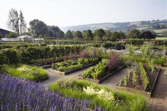 Yeo Valley Organic Garden