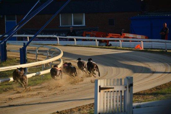 Hall Green Greyhound Stadium