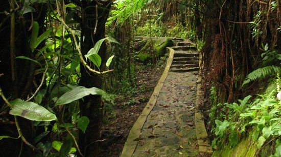 Sendero Ecoturistico