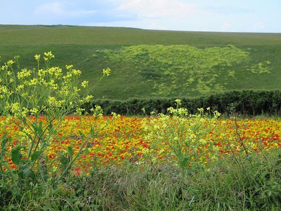 West Pentire and Polly Joke Circular Walk